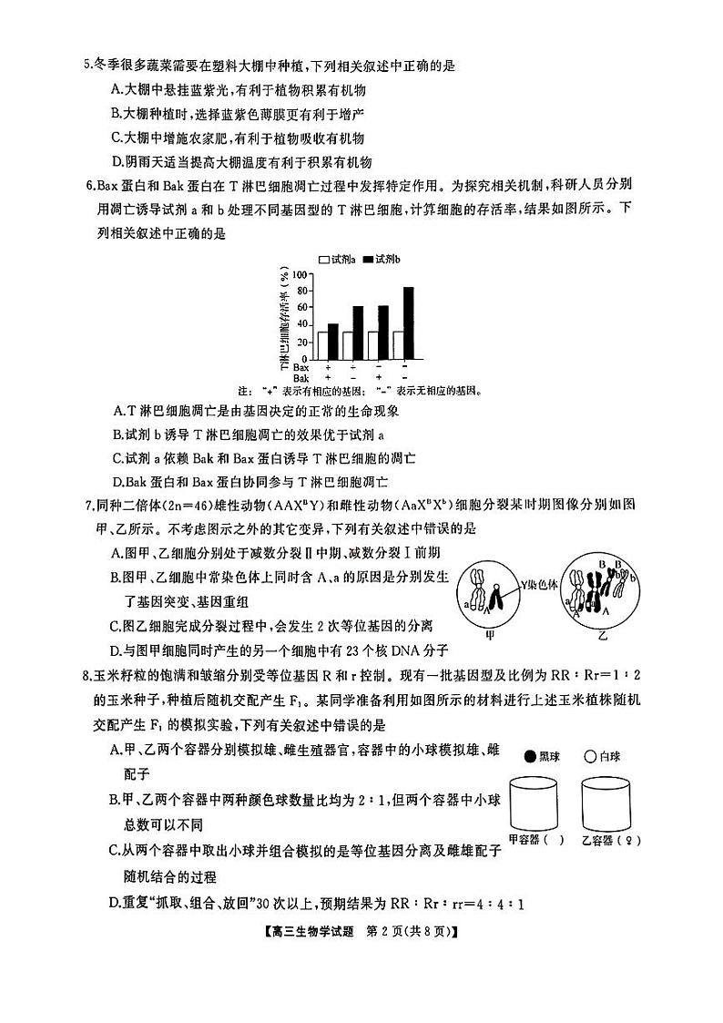 湖南名校2025届高三上学期11月大联考生物试题第2页
