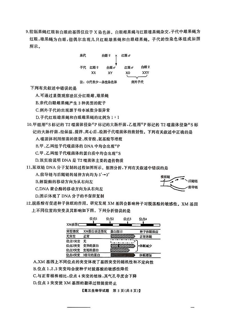 湖南名校2025届高三上学期11月大联考生物试题第3页