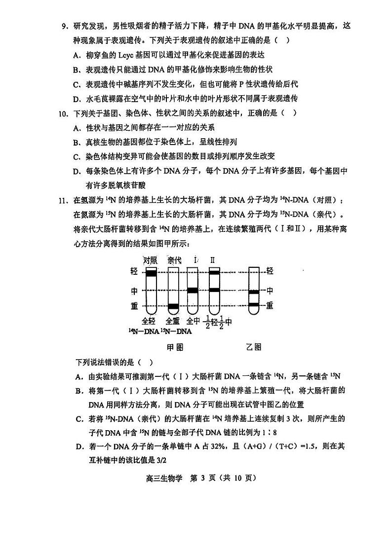 2025届辽宁沈阳郊联体高三上学期11月期中联考生物试题+答案第3页