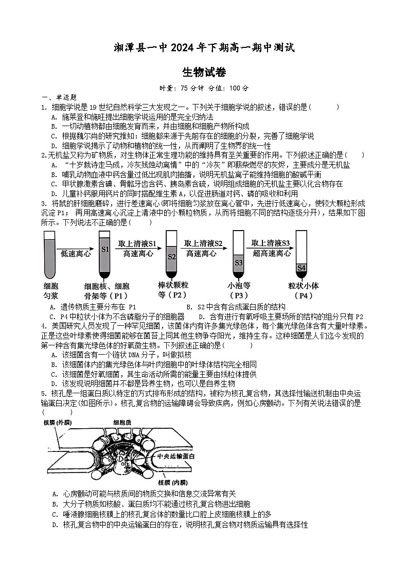 湖南省湘潭县第一中学2024~2025学年高一上学期期中考试生物试题第1页