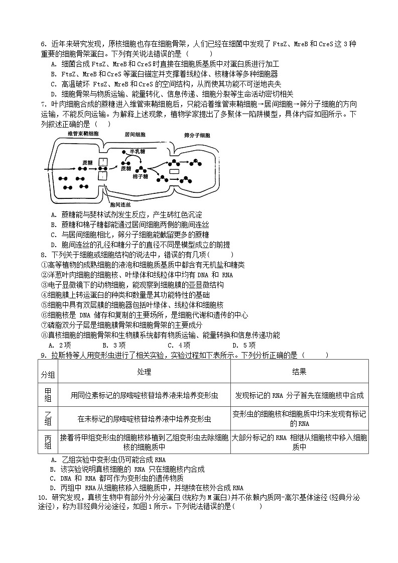 湖南省湘潭县第一中学2024~2025学年高一上学期期中考试生物试题第2页
