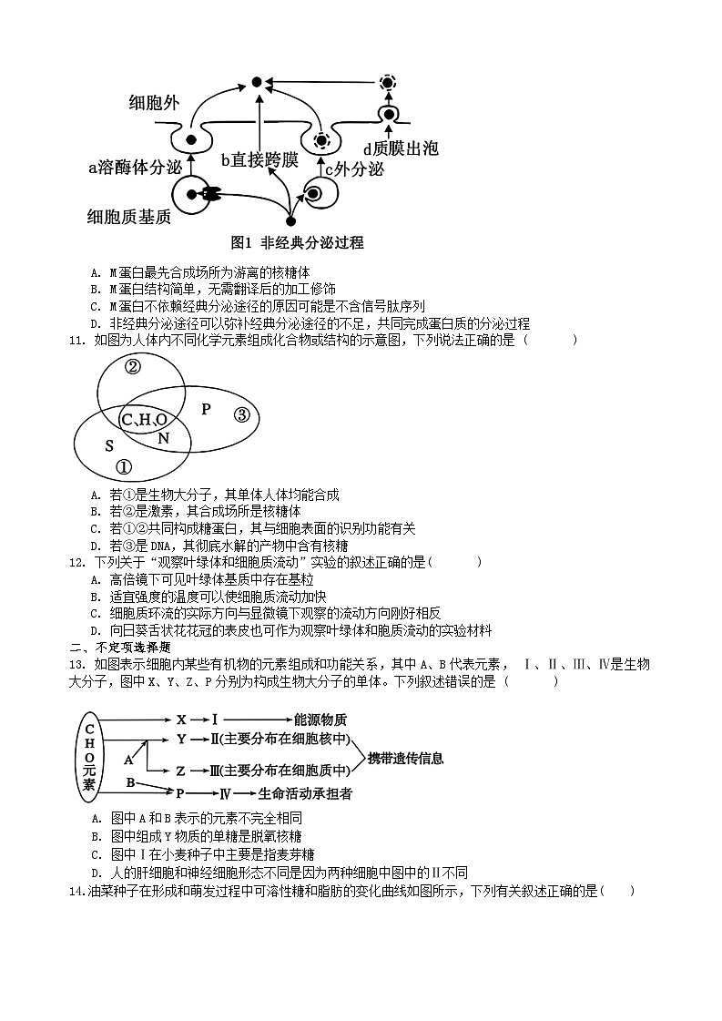 湖南省湘潭县第一中学2024~2025学年高一上学期期中考试生物试题第3页