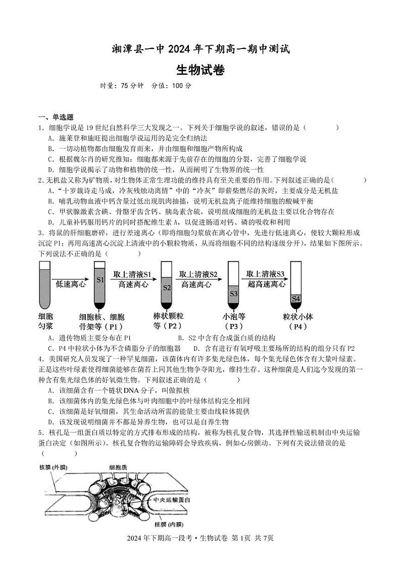 湖南省湘潭县第一中学2024-2025学年高一上学期期中考试生物试题第1页
