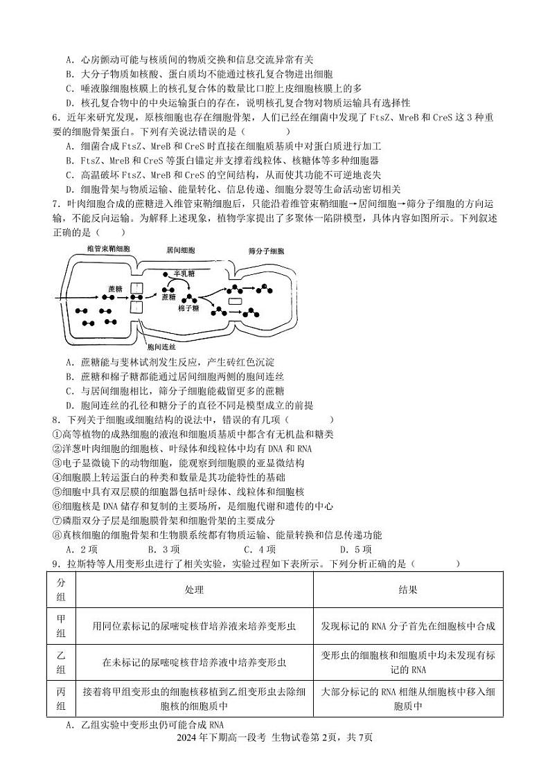 湖南省湘潭县第一中学2024-2025学年高一上学期期中考试生物试题第2页