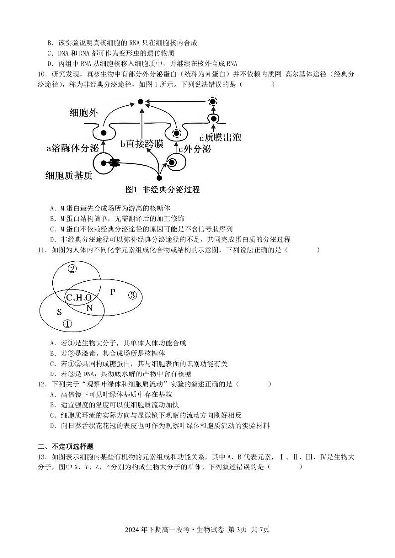 湖南省湘潭县第一中学2024-2025学年高一上学期期中考试生物试题第3页