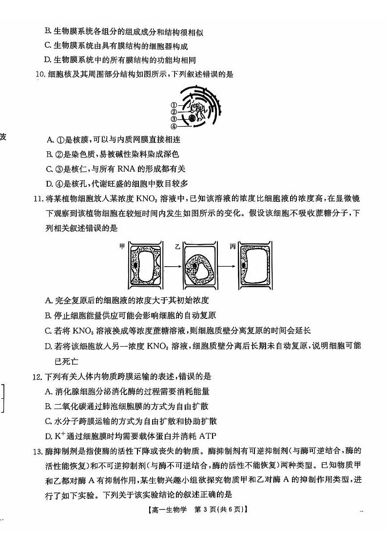 广东省佛山市H7联盟2024-2025学年高一上学期12月联考生物试题第3页