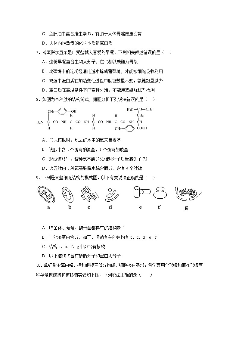 生物二检试卷第2页
