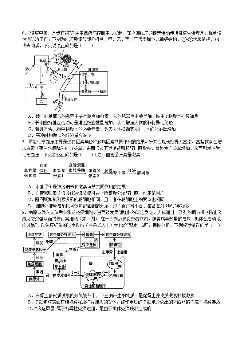 四川省眉山市彭山区第一中学2024-2025学年高二上学期12月月考生物试题第2页