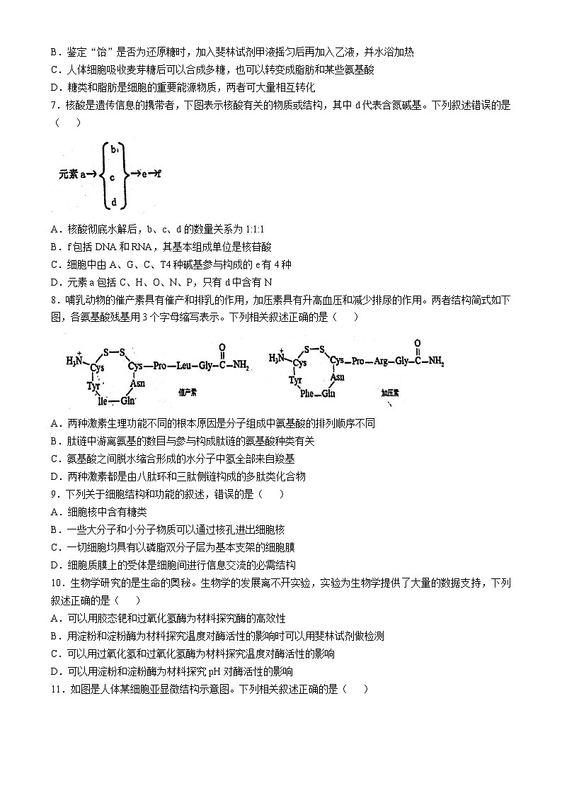 江苏省徐州市泉山区徐州市第一中学2024-2025学年高一上学期期中生物试卷(无答案)第2页