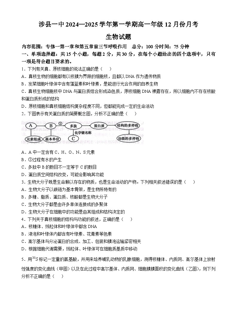 河北省邯郸市涉县一中2024-2025学年高一上学期12月月考生物试题第1页