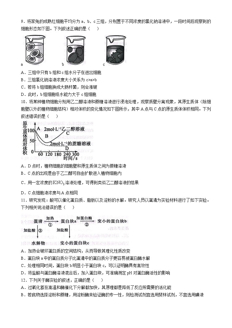 河北省邯郸市涉县一中2024-2025学年高一上学期12月月考生物试题第3页