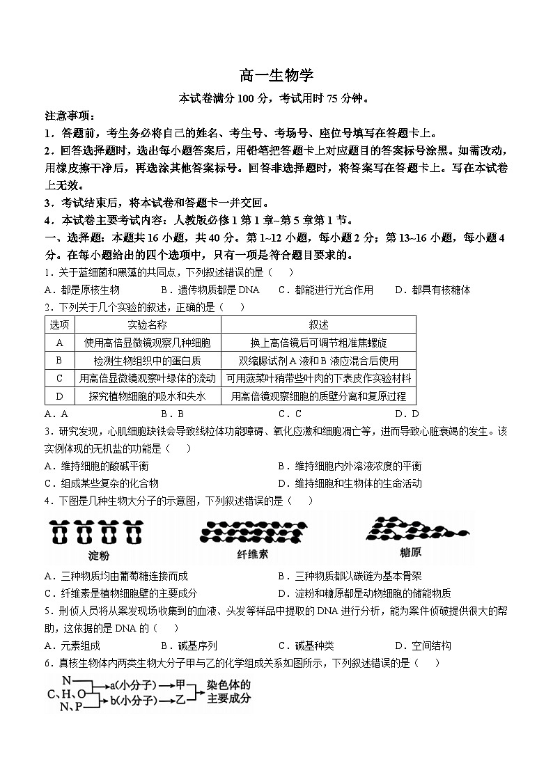 广东省佛山市H7联盟2024-2025学年高一上学期12月联考生物试题(02)第1页
