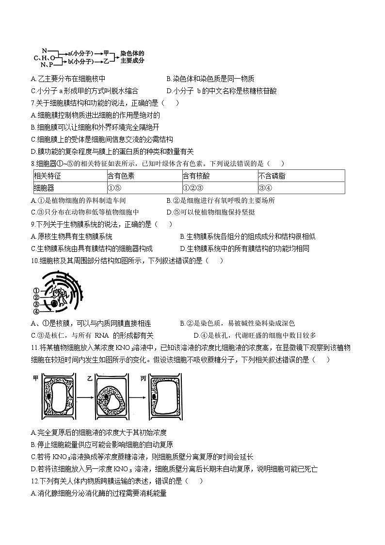 广东省佛山市H7联盟2024-2025学年高一上学期12月联考生物试题(01)第2页