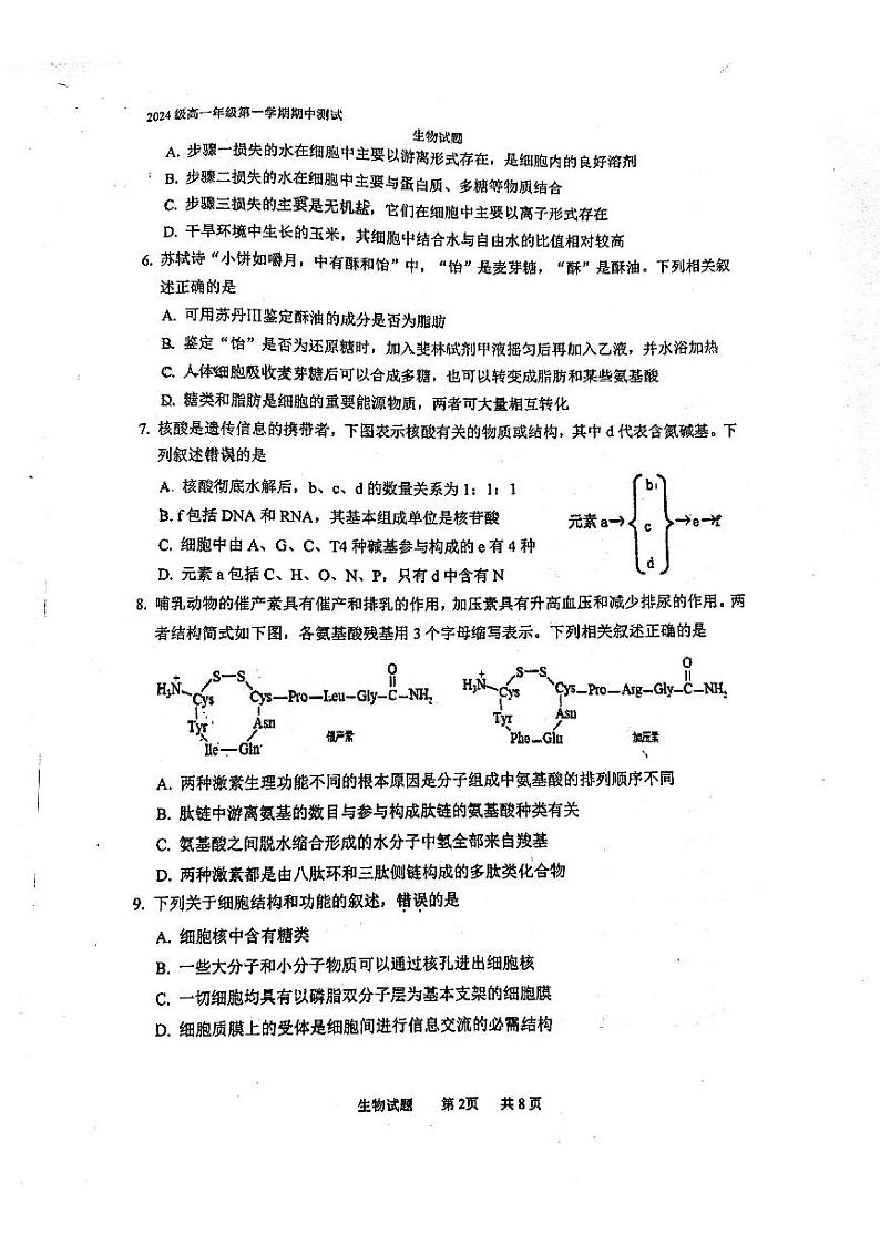 江苏省徐州市泉山区徐州市第一中学2024-2025学年高一上学期期中生物试卷第2页