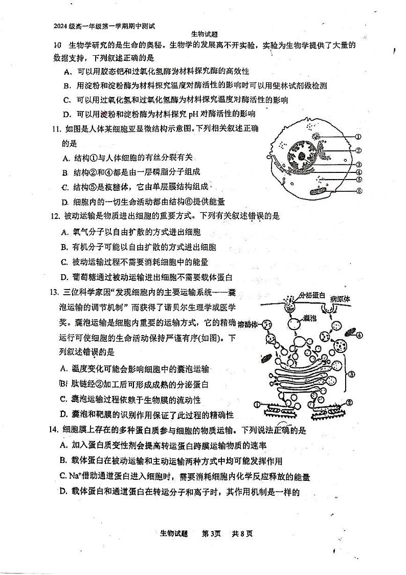 江苏省徐州市泉山区徐州市第一中学2024-2025学年高一上学期期中生物试卷第3页