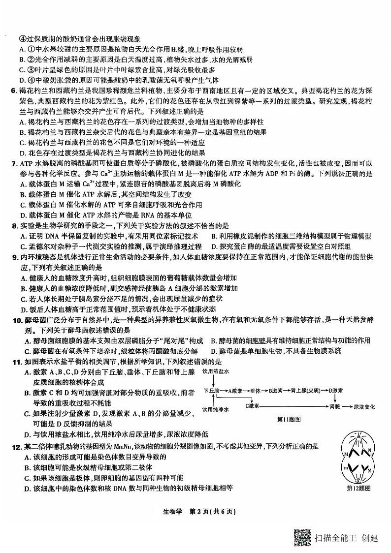 东北三省精准教学2024-2025学年高三上学期12月联考生物学试题（PDF版，含答案）第2页
