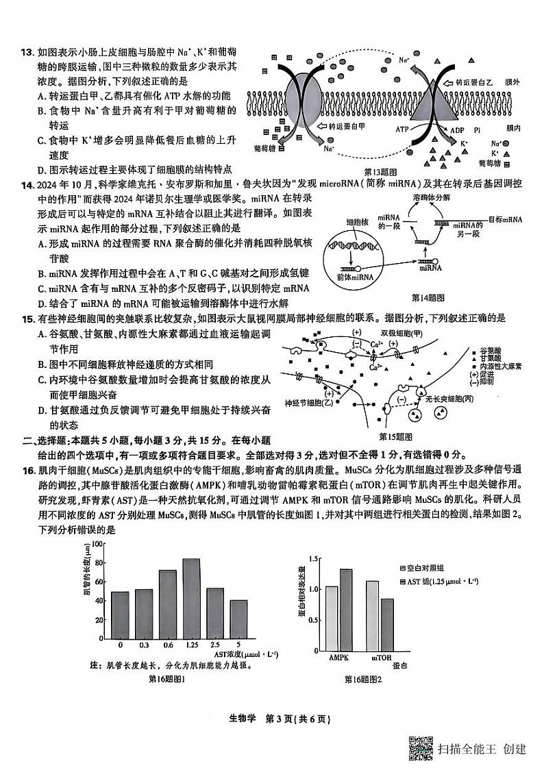 东北三省精准教学2024-2025学年高三上学期12月联考生物学试题（PDF版，含答案）第3页