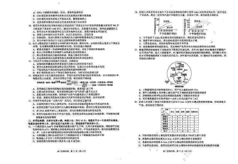 江苏省海安高级中学2024-2025学年高三上学期期中考试生物试题（含答案）第2页