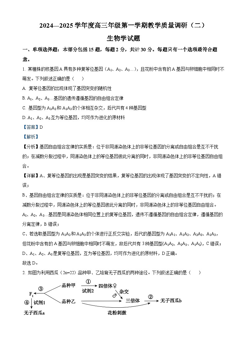 江苏省南通市如皋十四校联考2024-2025学年高三上学期11月期中生物试题含解析第1页