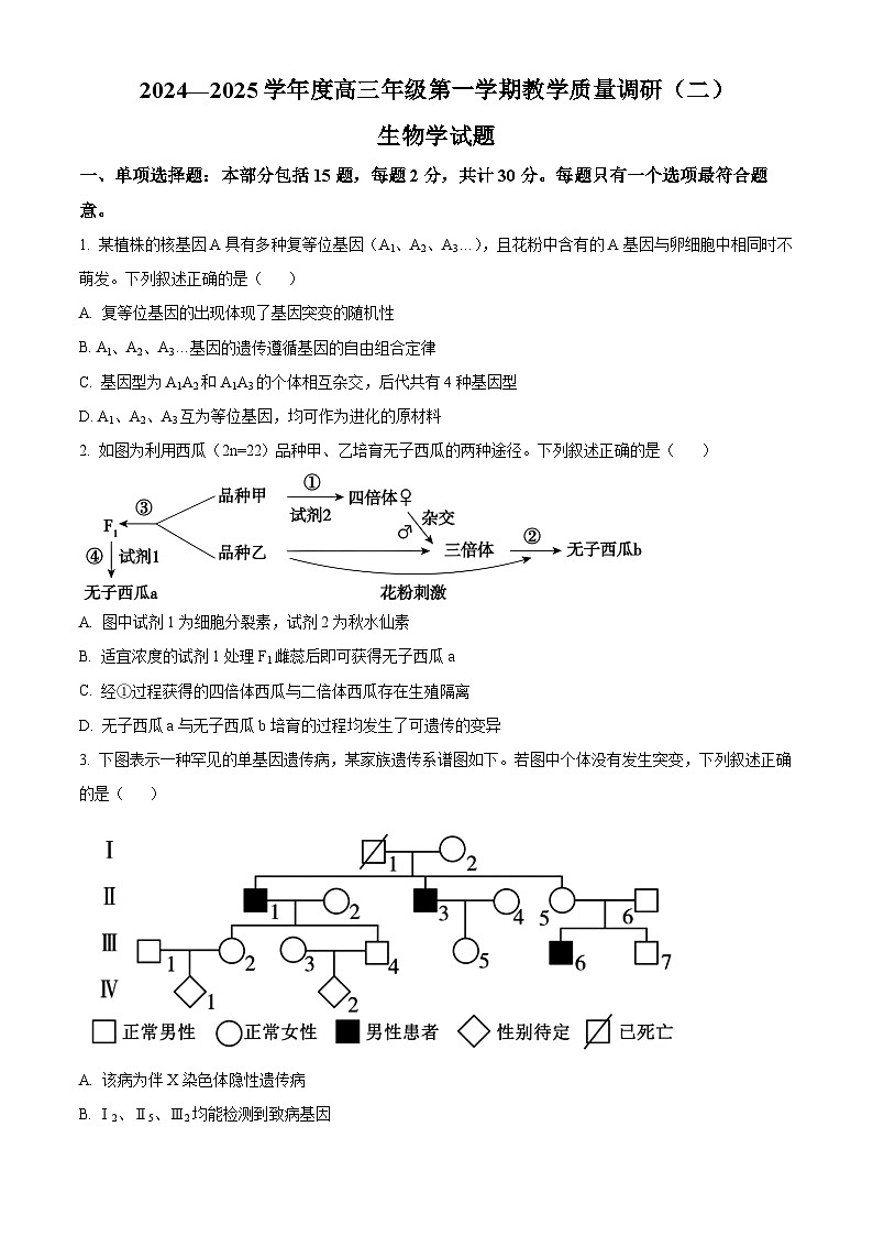 江苏省南通市如皋十四校联考2024-2025学年高三上学期11月期中生物试题无答案第1页