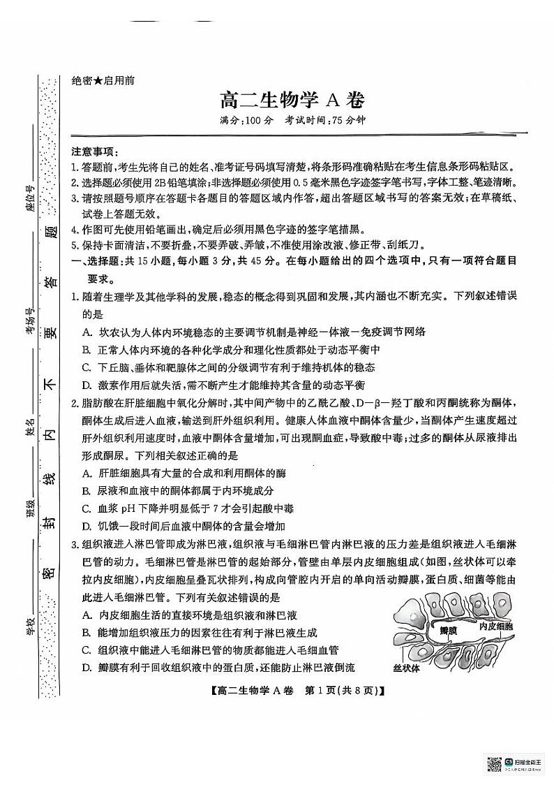 2025黄山八校联考高二上学期11月期中考试生物PDF版无答案第1页