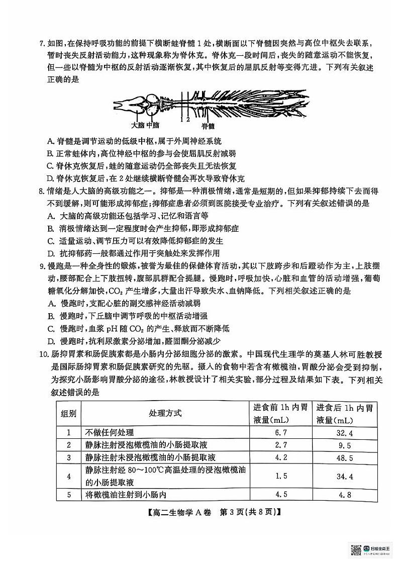 2025黄山八校联考高二上学期11月期中考试生物PDF版无答案第3页