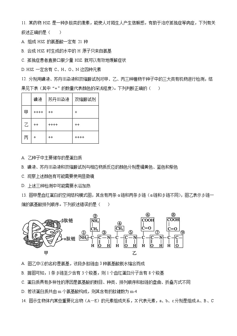 江苏省高邮市2024-2025学年高一上学期期中考试生物试题无答案第3页