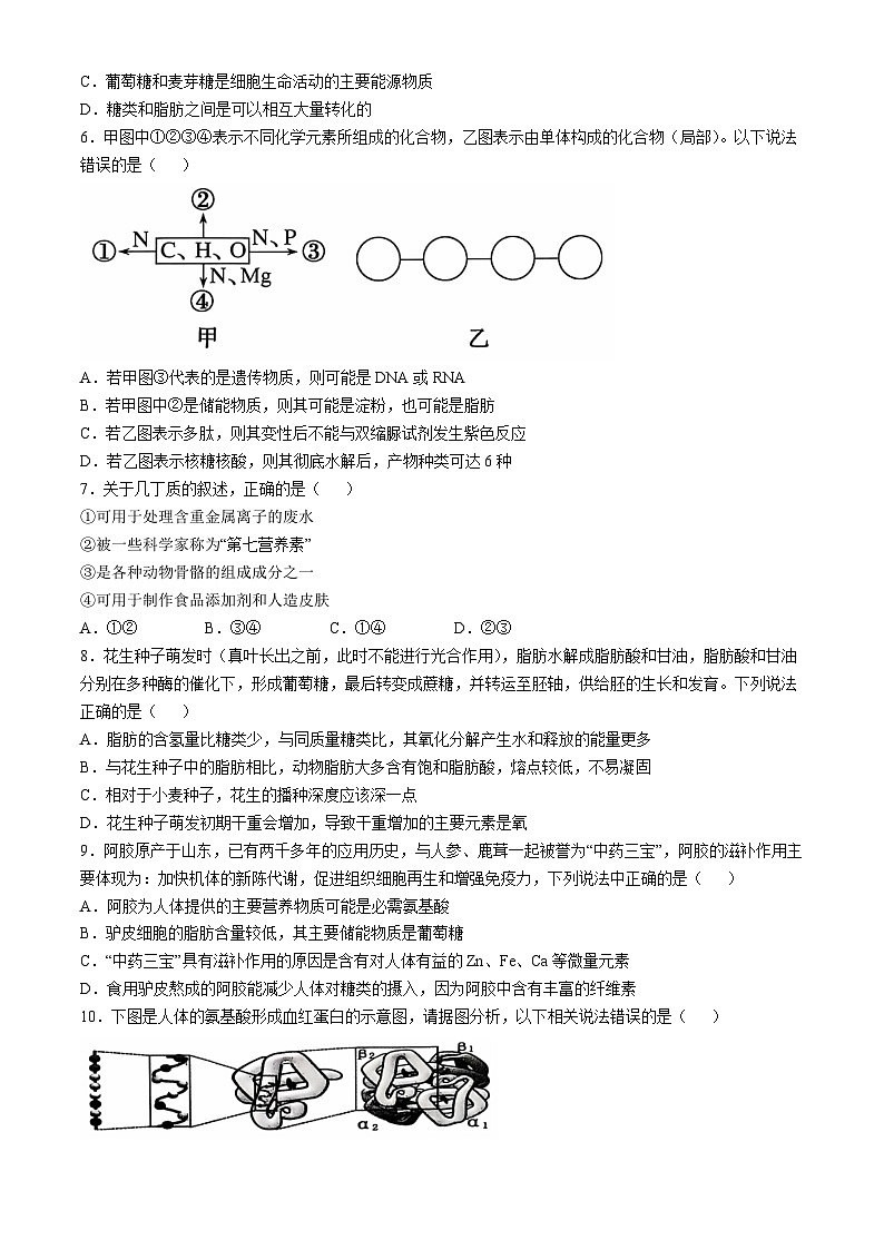 2025徐州铜山区高一上学期11月期中考试生物含答案第2页