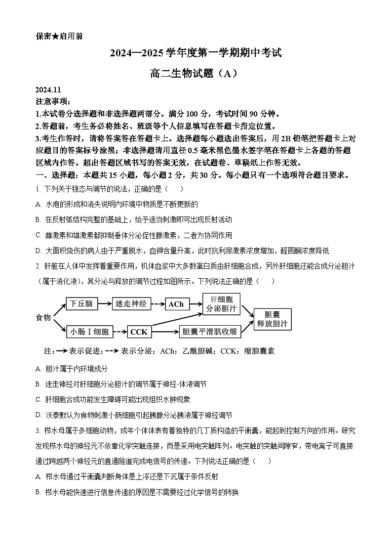 山东省菏泽市2024-2025学年高二上学期11月期中考试生物试题（B）第1页