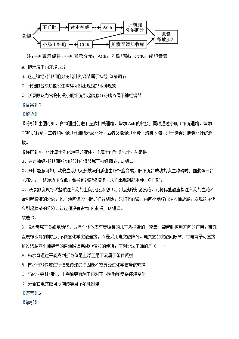 山东省菏泽市2024-2025学年高二上学期11月期中考试生物试题（B）word版含解析第2页