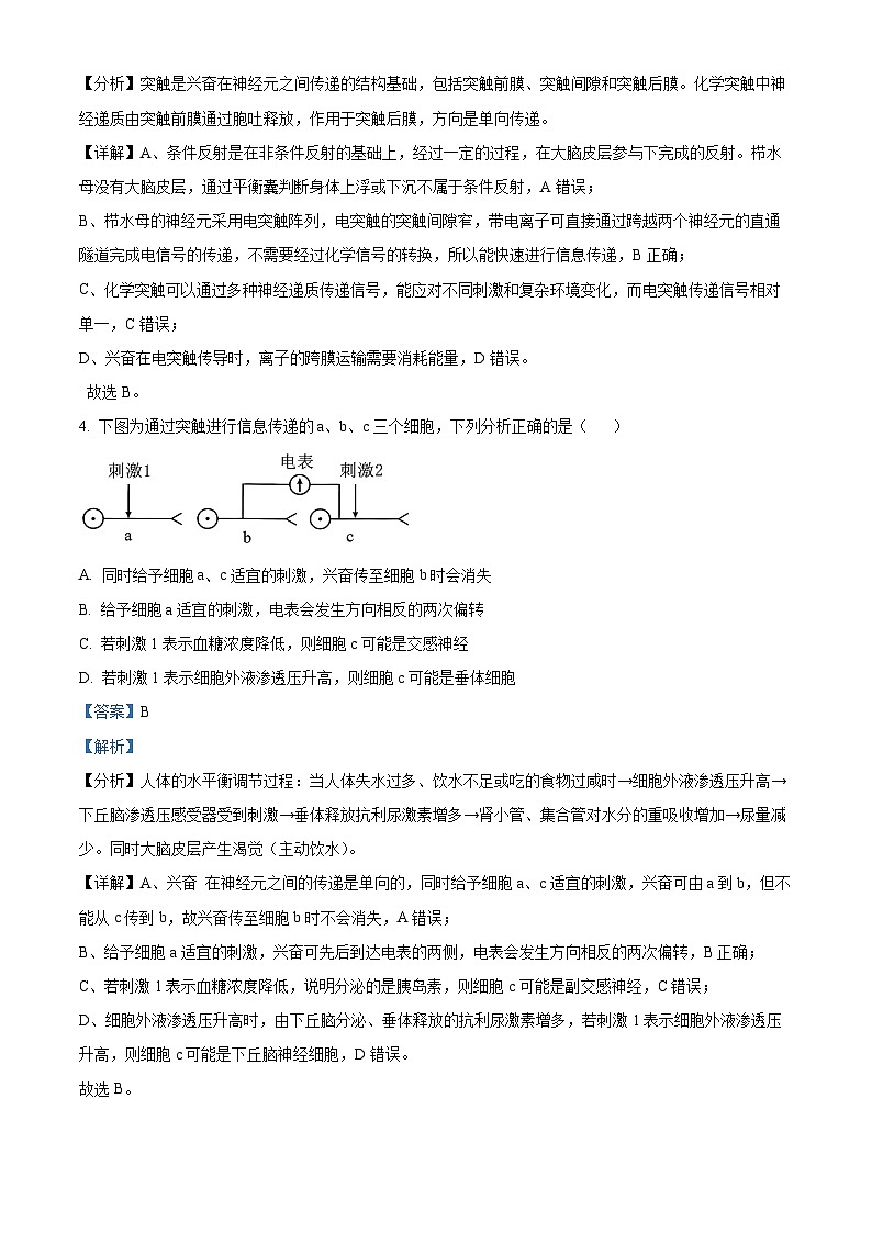 山东省菏泽市2024-2025学年高二上学期11月期中考试生物试题（B）word版含解析第3页
