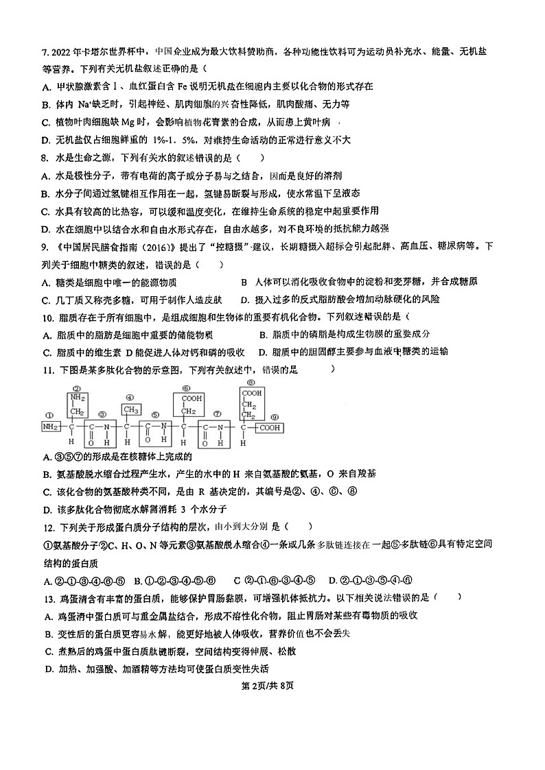 福建省南安华侨中学、石狮八中、泉州外国语学校、泉州市城东中学2024-2025学年高一上学期期中联考生物试题第2页