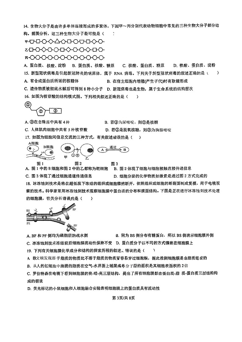 福建省南安华侨中学、石狮八中、泉州外国语学校、泉州市城东中学2024-2025学年高一上学期期中联考生物试题第3页