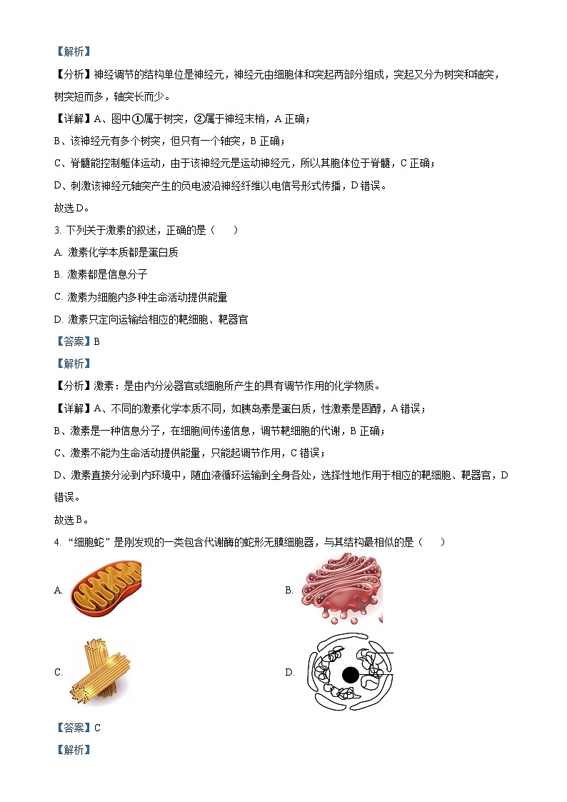 浙江省杭州市北斗联盟2024-2025学年高二上学期期中联考生物试题（解析版）-A4第2页