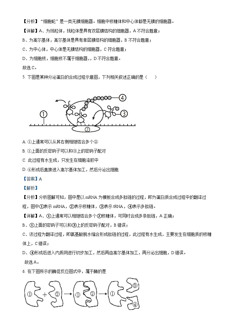 浙江省杭州市北斗联盟2024-2025学年高二上学期期中联考生物试题（解析版）-A4第3页