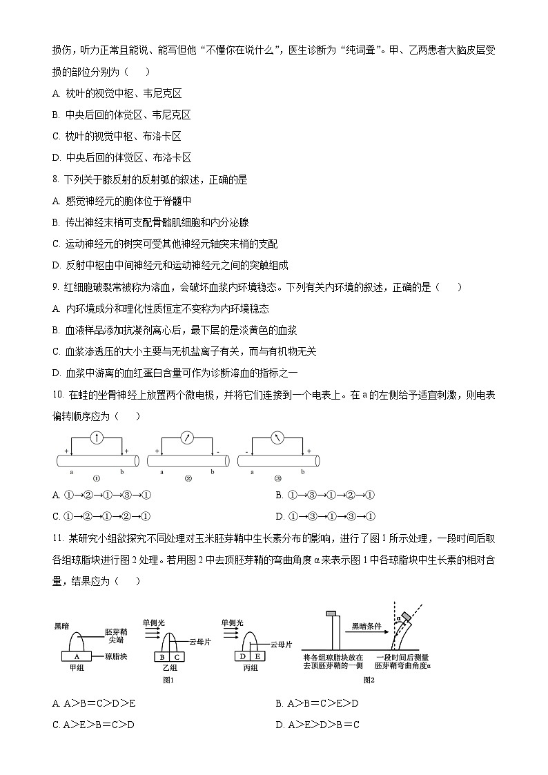 浙江省温州环大罗山联盟2024-2025学年高二上学期期中考试生物试题（原卷版）-A4第2页