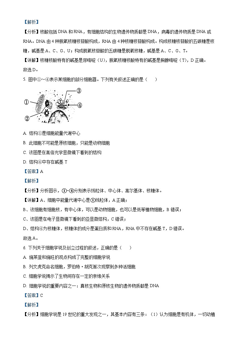 浙江星辰联盟2024-2025学年高一上学期期中联考生物试题（解析版）-A4第3页