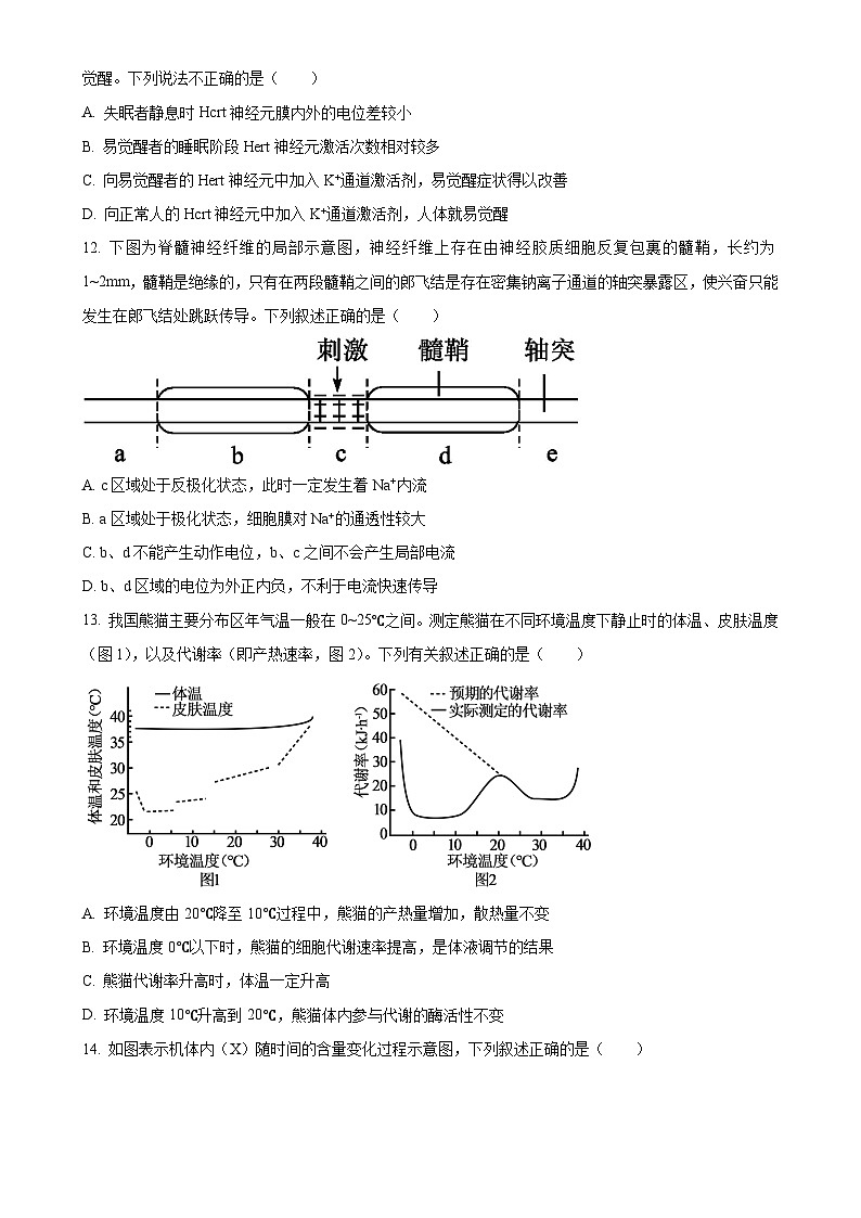 浙江省浙江星辰联盟2024-2025学年高二上学期11月期中生物试题（原卷版）-A4第3页