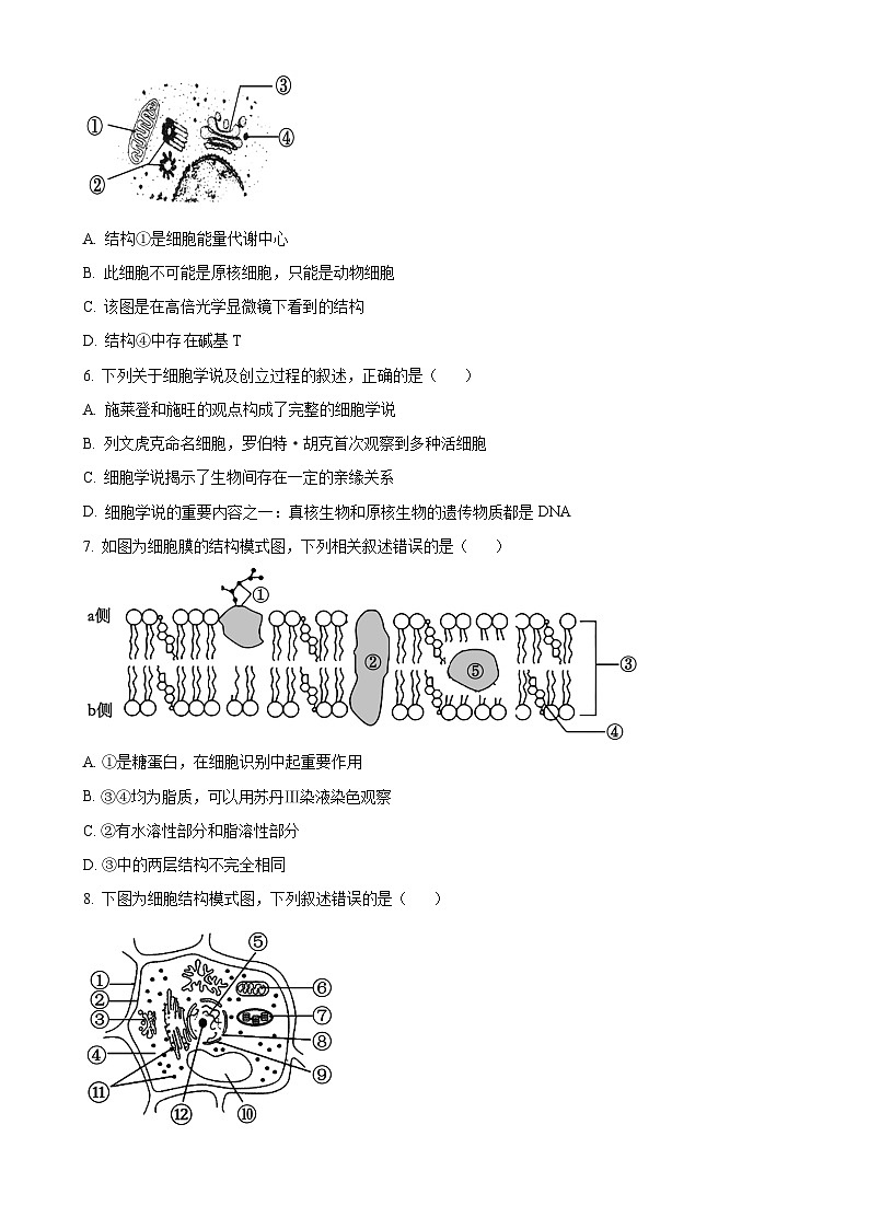 浙江星辰联盟2024-2025学年高一上学期期中联考生物试题（原卷版）-A4第2页