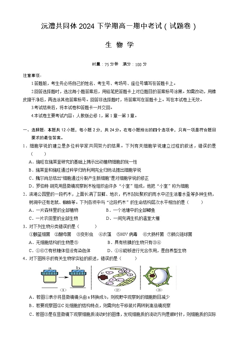 湖南省常德市沅澧共同体2024-2025学年高一上学期期中考试生物试题-A4第1页