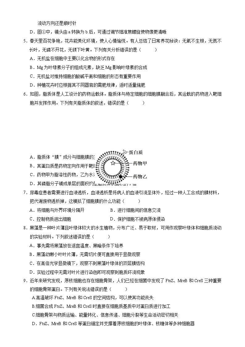 湖南省常德市沅澧共同体2024-2025学年高一上学期期中考试生物试题-A4第2页