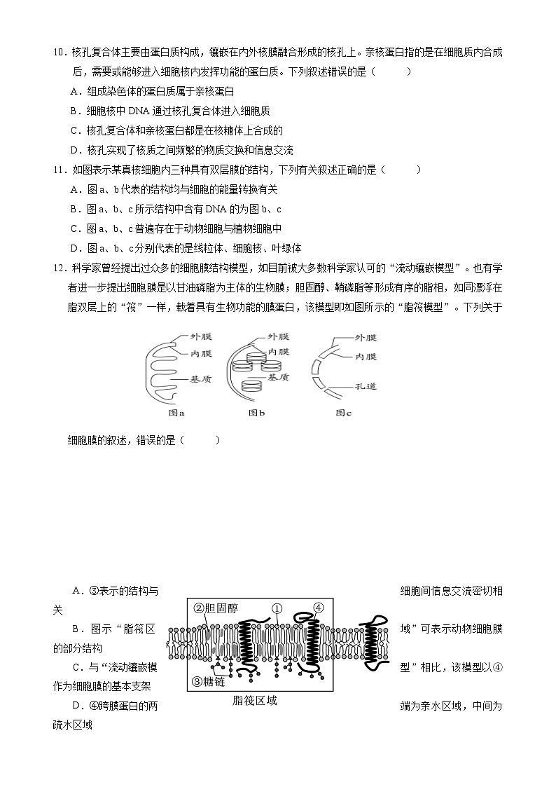 湖南省常德市沅澧共同体2024-2025学年高一上学期期中考试生物试题-A4第3页