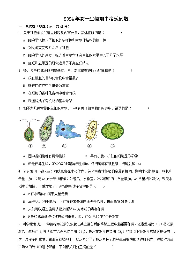 湖南省岳阳市汨罗市汨罗市第一中学2024-2025学年高一上学期11月期中生物试题-A4第1页
