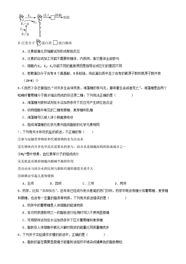 湖南省岳阳市汨罗市汨罗市第一中学2024-2025学年高一上学期11月期中生物试题-A4第2页