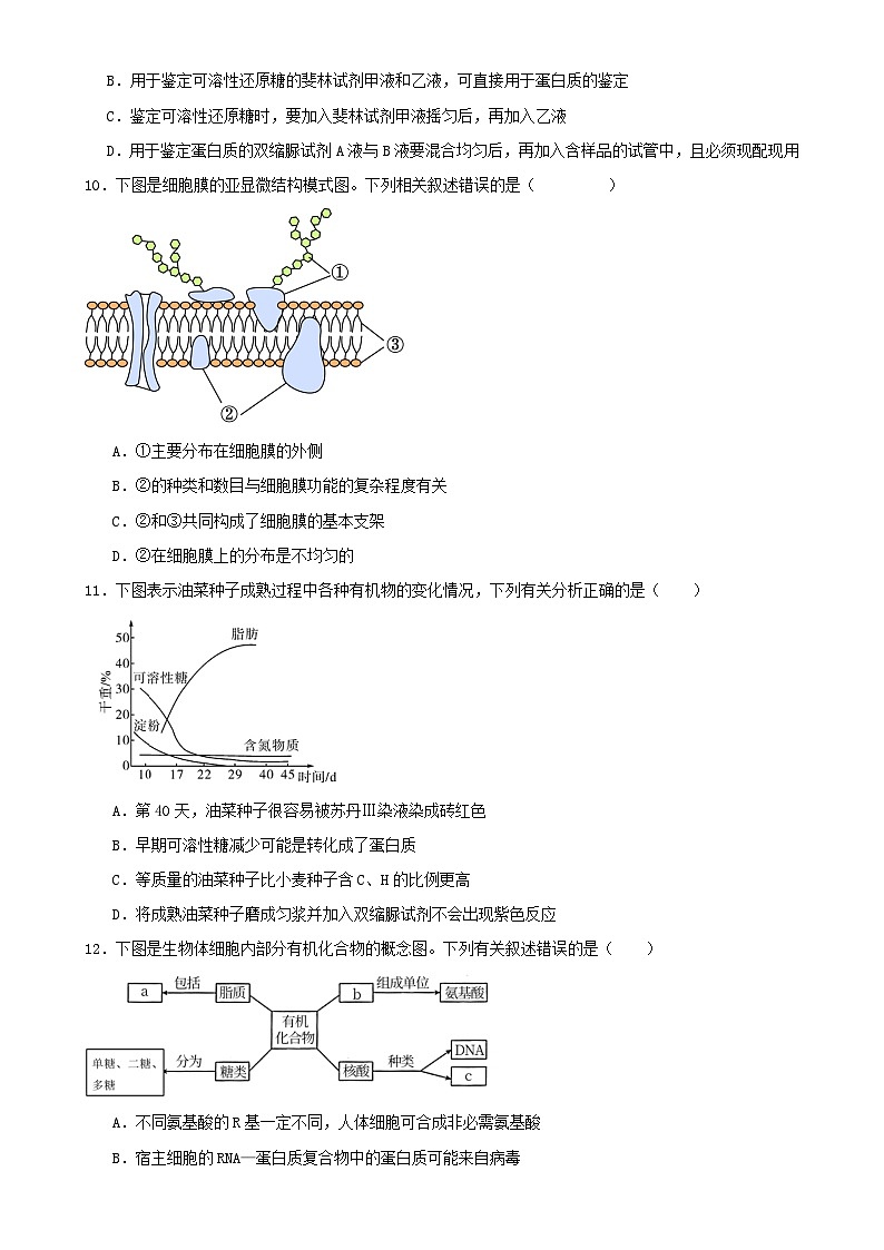 湖南省岳阳市汨罗市汨罗市第一中学2024-2025学年高一上学期11月期中生物试题-A4第3页