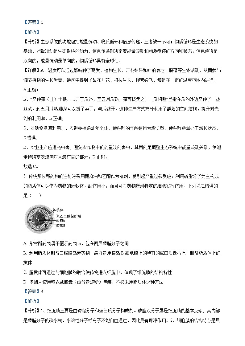 湖南省岳阳市岳阳县第一中学2024-2025学年高三上学期11月期中生物试题（解析版）-A4第2页