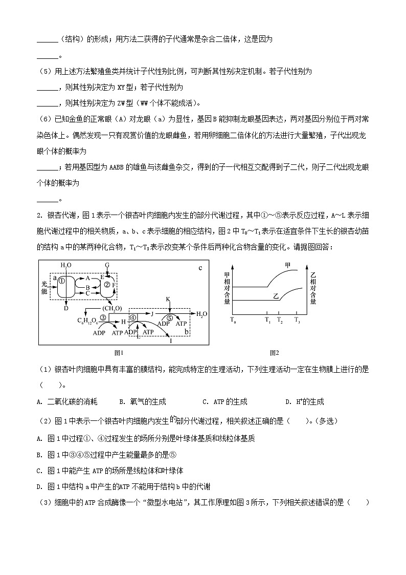上海市2023_2024学年高二生物上学期10月月考试题含解析第2页