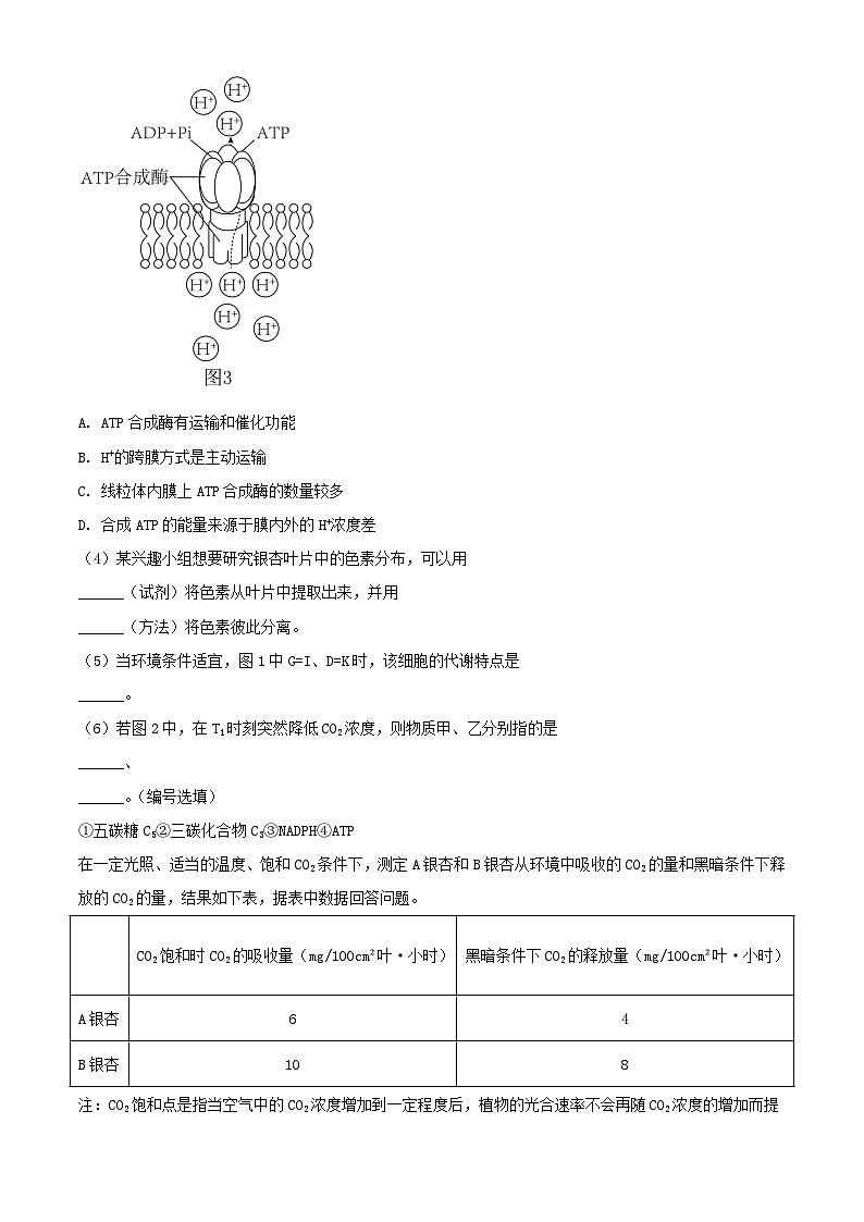 上海市2023_2024学年高二生物上学期10月月考试题含解析第3页