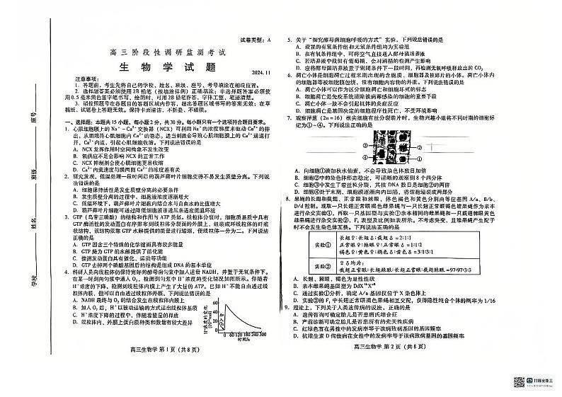山东省潍坊市2024-2025学年高三上学期11月期中生物试题第1页