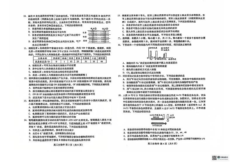 山东省潍坊市2024-2025学年高三上学期11月期中生物试题第2页